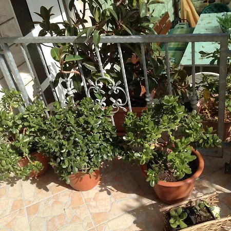 By The Sea Businci, Ciovo - 4668 Apartman *