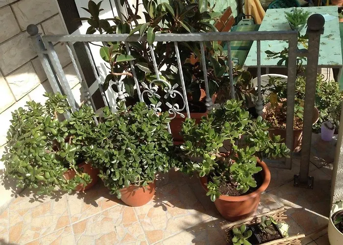 By The Sea Businci, Ciovo - 4668 公寓 *